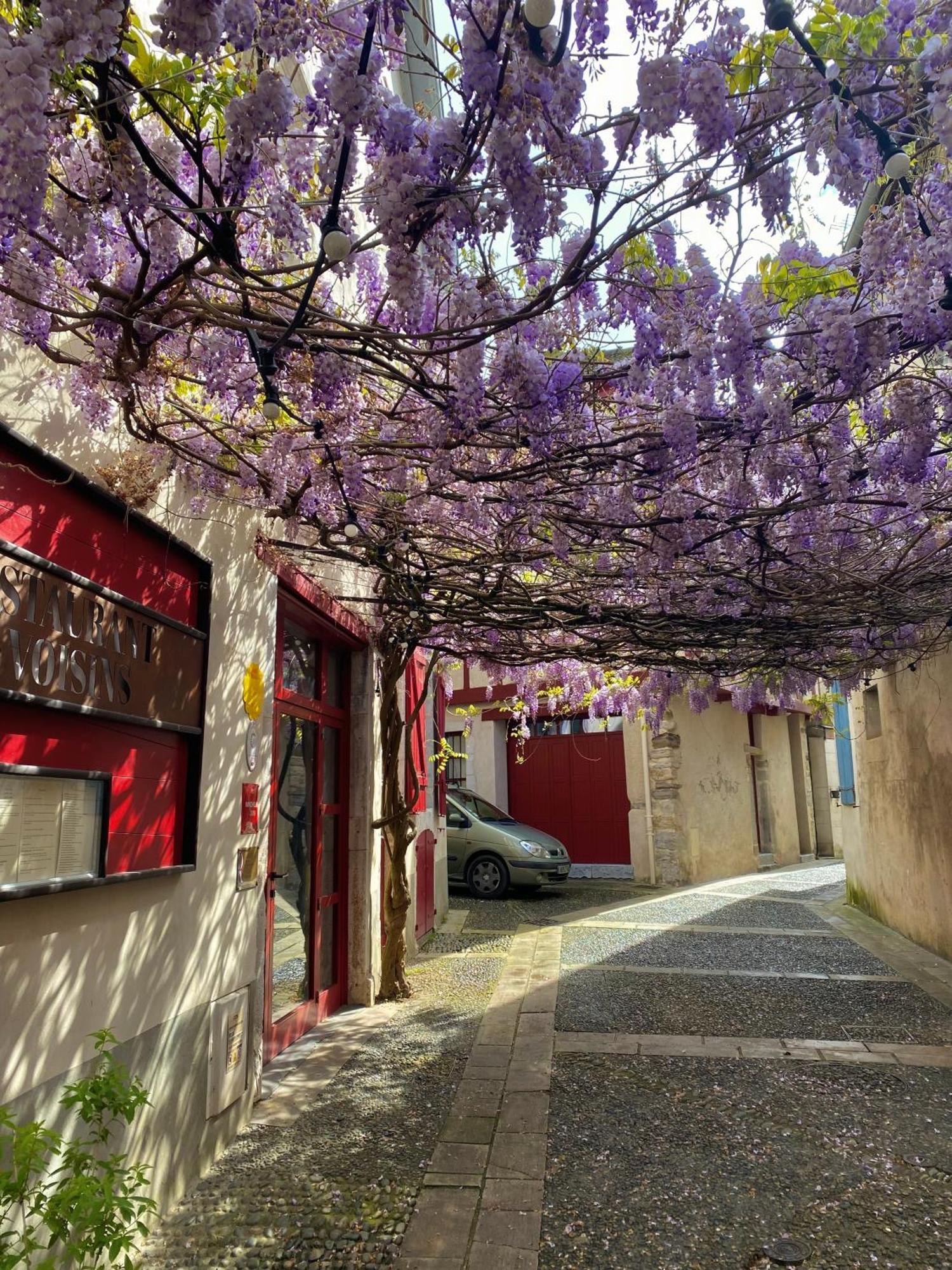 Agreable Petit Gite Avec Piscine Et Jardinet Salies-de-Béarn Buitenkant foto